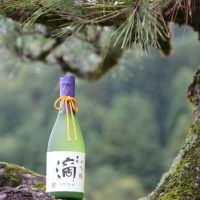 福井県の酒