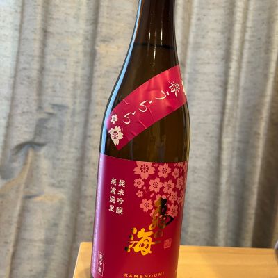 亀の海のレビュー by_JZZ20