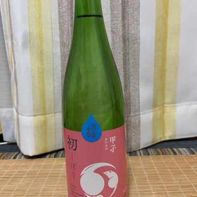 甲子のレビュー by_JZZ20