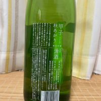 甲子のレビュー by_JZZ20