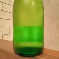 
            土佐しらぎく_
            のみのみのさん