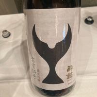 高知県の酒