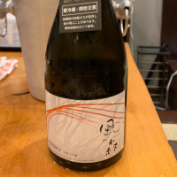 
            風の森_
            酒場ねこさん