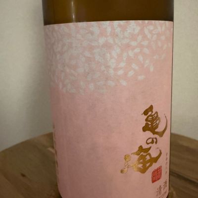 亀の海のレビュー by_キンクマ