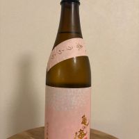 亀の海のレビュー by_キンクマ