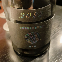 新政