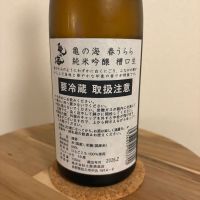 亀の海のレビュー by_キンクマ