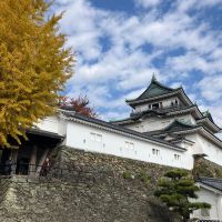 黒牛のレビュー by_K.Y