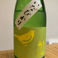 庭のうぐいす