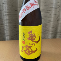 
            亀の海_
            ねこひろしさん