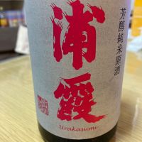 浦霞