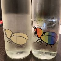 
            仙禽_
            LSc53さん