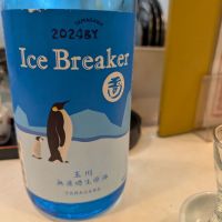 Ice Breaker