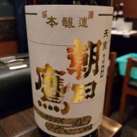 朝日鷹