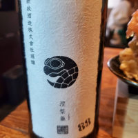 涅槃龜