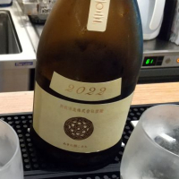新政