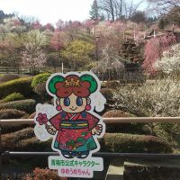 越路乃紅梅のレビュー by_マロンアサカ