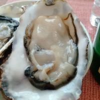 大信州のレビュー by_マロンアサカ