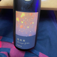 電照菊