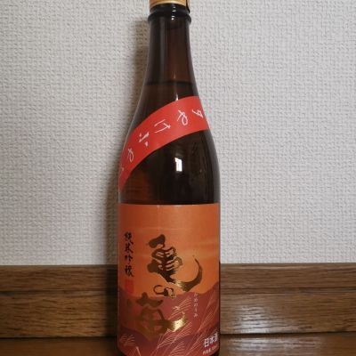 亀の海のレビュー by_ドリ