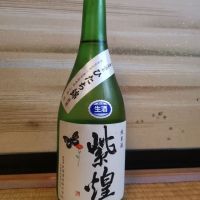 紫煌