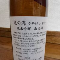 亀の海のレビュー by_ドリ