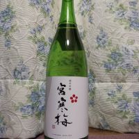 
            宮寒梅_
            ドリさん