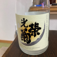 
            光栄菊_
            トヨトヨトヨさん