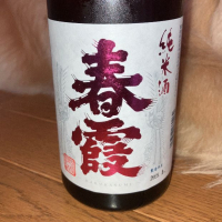 
            春霞_
            ひなたけさん