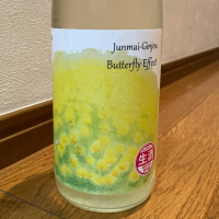 butterfly effect