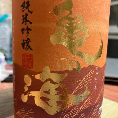 亀の海のレビュー by_マッチョメ3世