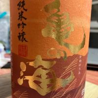 亀の海