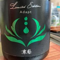 総乃寒菊