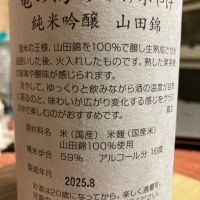 亀の海のレビュー by_マッチョメ3世