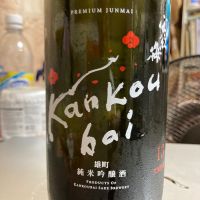 寒紅梅