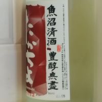 高千代のレビュー by_金たぬき