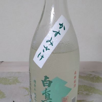 白真弓のレビュー by_ビシャモン