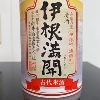 伊根満開