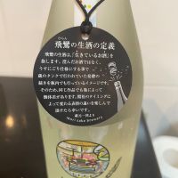 飛鸞のレビュー by_しおん