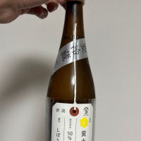 
            荷札酒_
            funazushioさん