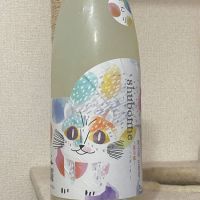 
            月不見の池_
            横丁に住みたいあゆかわさん