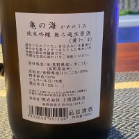 亀の海のレビュー by_横丁に住みたいあゆかわ