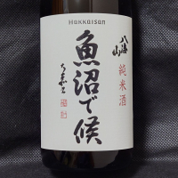 魚沼で候