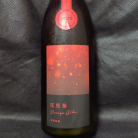 
            電照菊_
            酔月さん
