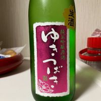 ゆきつばき