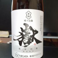 
            菱湖_
            asakumiさん