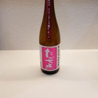 新潟県の酒