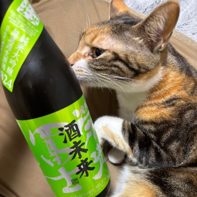 山形県の酒