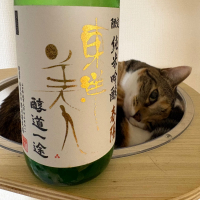 東洋美人