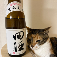 田酒